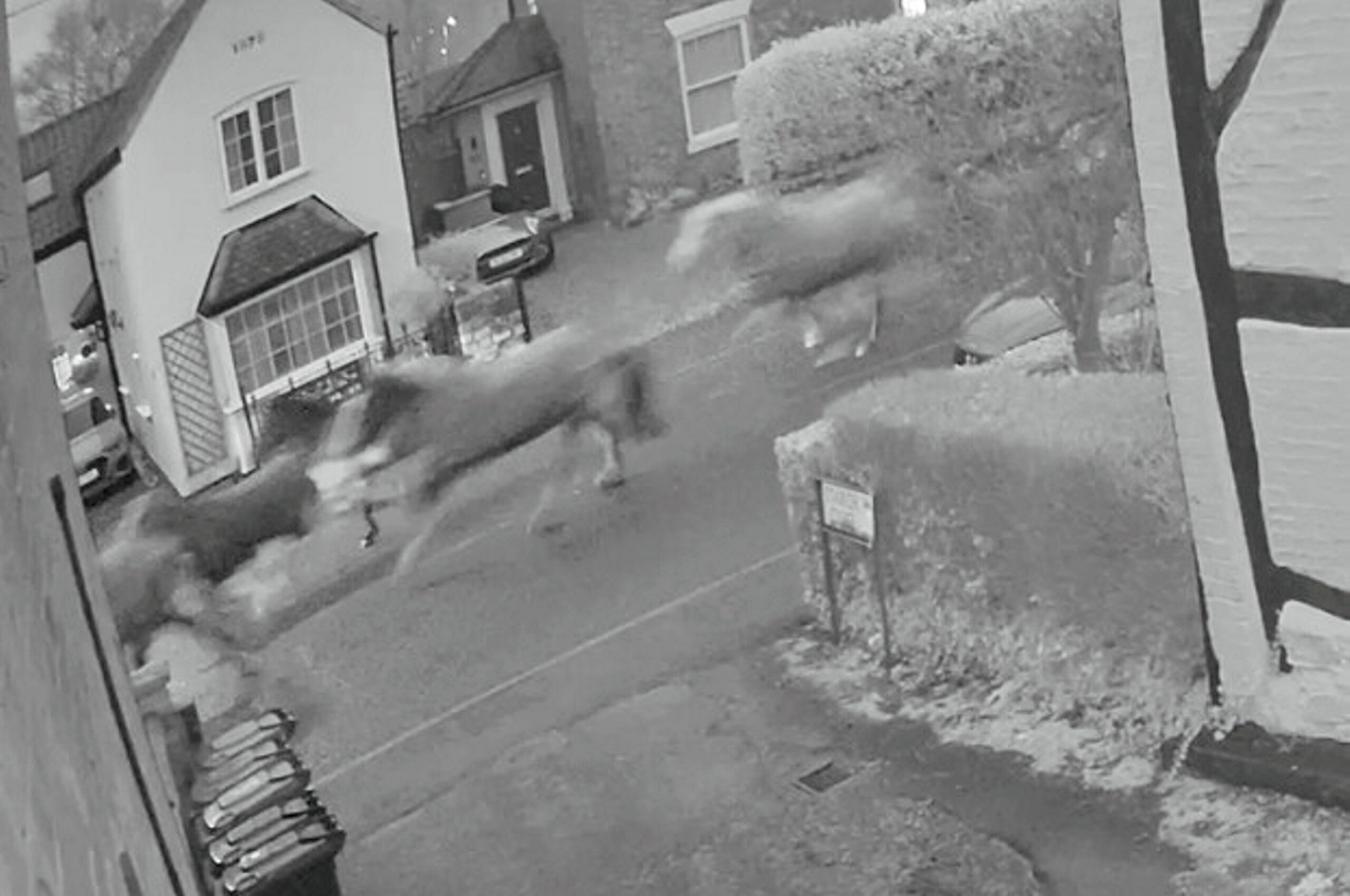 Moment herd of runaway horses gallop through quiet village - Discover SWNS