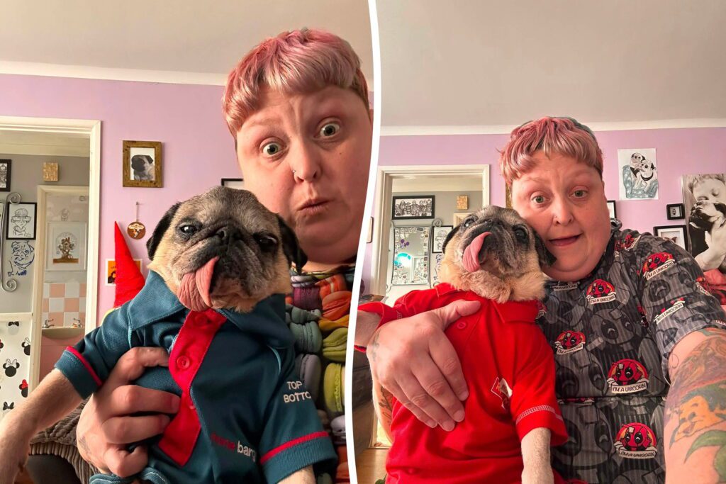 Pug has Tesco, McDonald's and Royal Mail uniforms tailored to fit him - Discover SWNS
