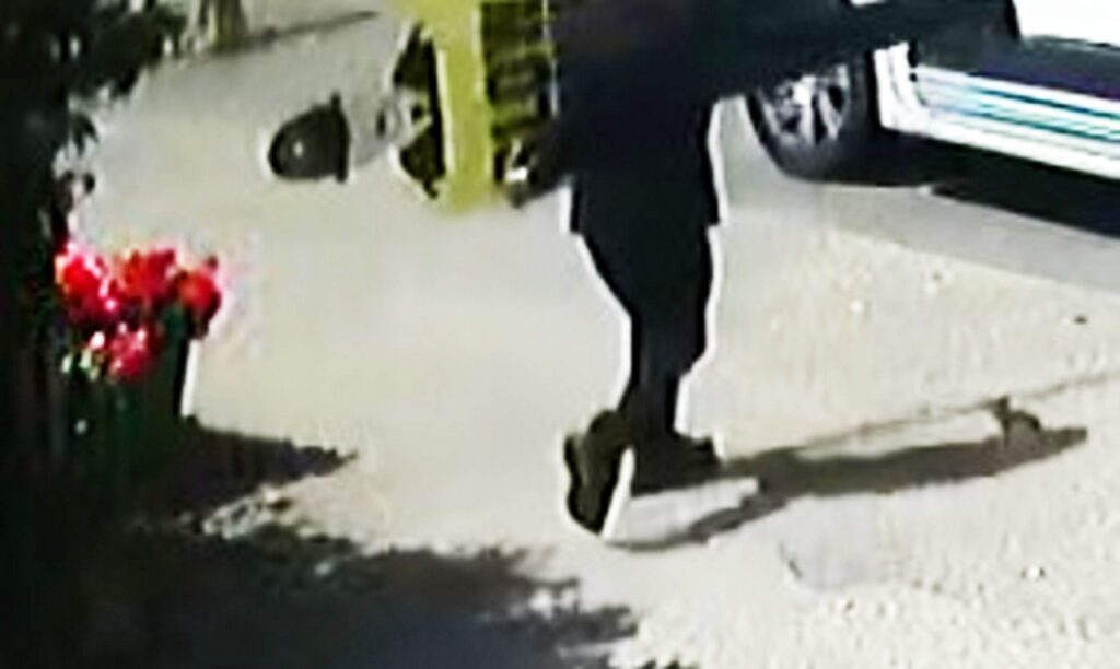 Thieves steal fake policeman from village shop in broad daylight - Discover SWNS