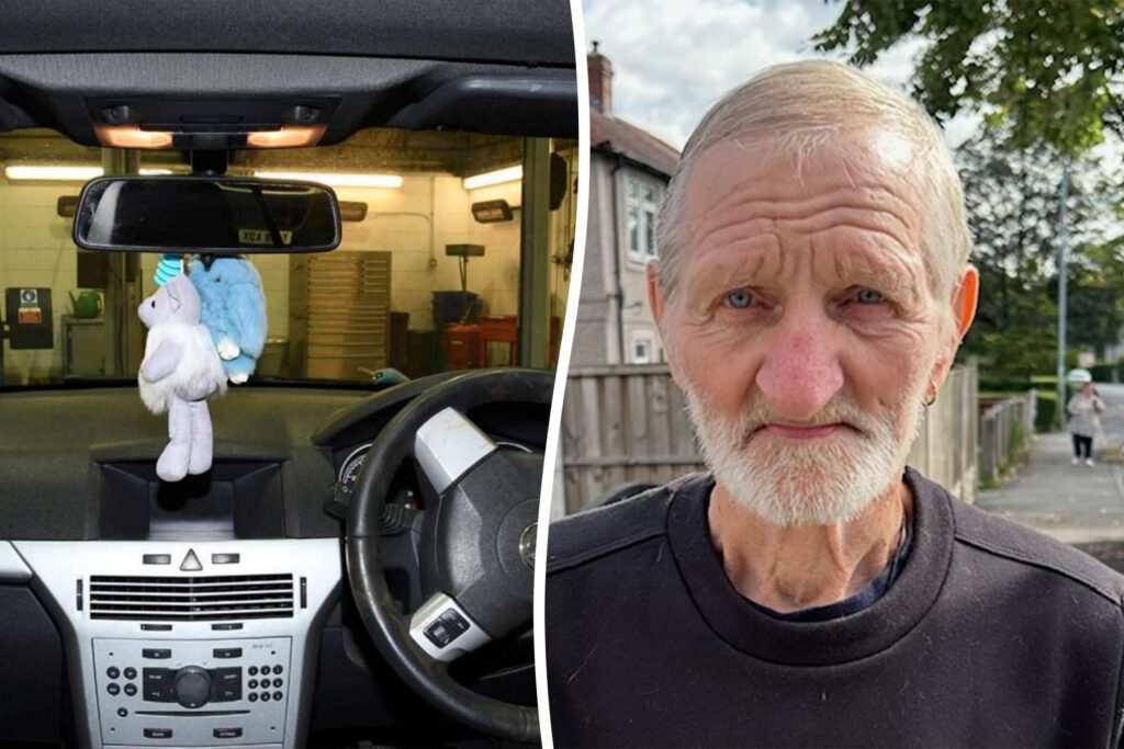 Driver killed pensioner after stuffed toys dangling from mirror blocked view - Discover SWNS