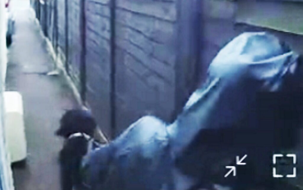 Moment break-in suspect caught leaving family home with beloved dog - Discover SWNS