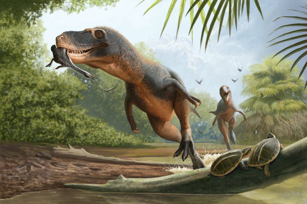 Photo: discover.swns.com 66-million-year-old feather found in dinosaur poop could solve extinction mystery